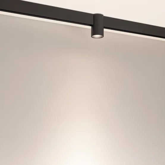 Фото #2 товара Светильник MAG-ORIENT-AXIO-R60-10W Day4000 (BK, 24 deg, 48V) (Arlight, IP20 Металл, 5 лет)