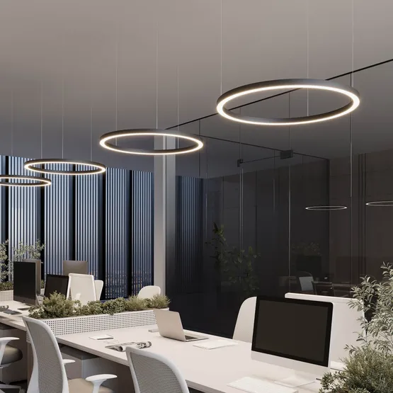Фото #2 товара Светильник SP-CIRCLE-HANG-O3535-D500-28W Warm3000 (RAL9005, 120 deg, 230V) IP40 LED (Arlight, Алюминий)