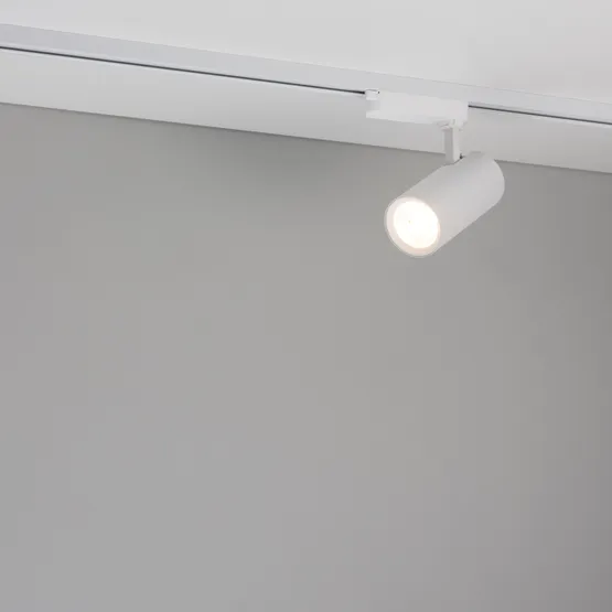 Фото #4 товара Светильник LGD-GERA-2TR-R74-20W Warm3000 (WH, 55 deg, 230V) (Arlight, IP20 Металл, 5 лет)