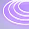 Минифото #1 товара Образец Гибкий неон GALAXY-1206-5000CFS-2835-100 12V Purple 0.5M (12x6mm, 12W, IP67) (Arlight, 12 Вт/м, IP67)