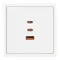 Минифото #3 товара Механизм розетки с быстрой USB зарядкой SCT-NOBE-MUACC-SFPL-FC-WH (65W, QC3) (Arlight, -)
