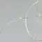 Минифото #2 товара Светодиодная гирлянда ARD-DEW-HOME-2000-CLEAR-20LED-STD Warm3000 (3V, Battery Pack) (Ardecoled, IP20)